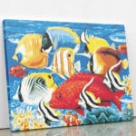 Akwarium dyskowców - mozaika